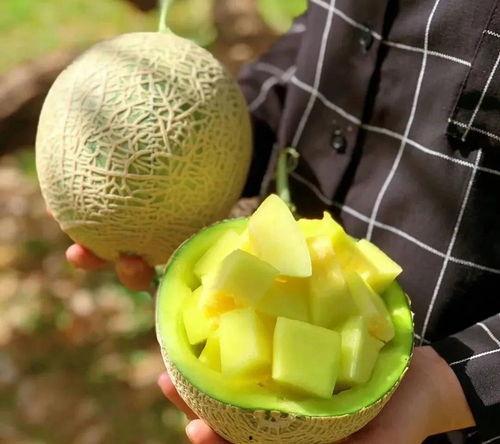 娱乐圈有什么瓜吃