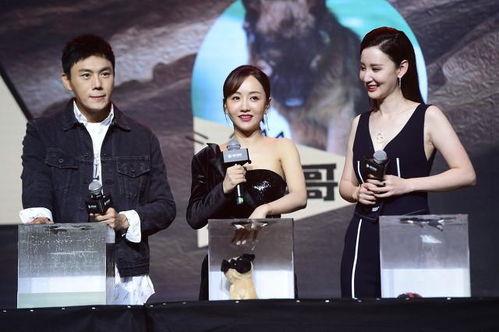 娱乐圈吃瓜爆料素材视频